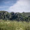 Photographie des Vosges, randonnée en été dans le massif du Hohneck