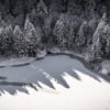 Photographie des Vosges, Sapins autours du lac de Schiessrothried dans le massif du Hohneck